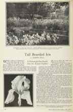Better Homes & Gardens May 1925 Magazine Article: Tall Bearded Iris