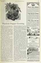Better Homes & Gardens May 1925 Magazine Article: Practical Pepper Growing