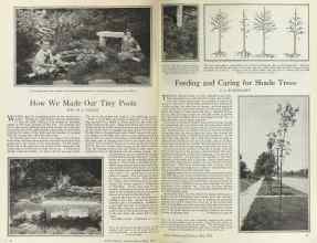Better Homes & Gardens May 1925 Magazine Article: Page 8