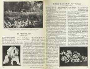 Better Homes & Gardens May 1925 Magazine Article: Page 12