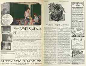 Better Homes & Gardens May 1925 Magazine Article: Page 46