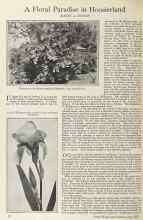 Better Homes & Gardens June 1925 Magazine Article: A Floral Paradise in Hoosierland