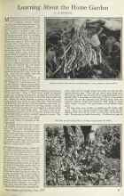 Better Homes & Gardens June 1925 Magazine Article: Learning About the Home Garden