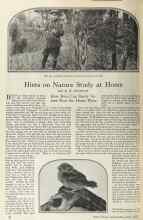 Better Homes & Gardens June 1925 Magazine Article: Hints on Nature Study at Home