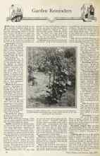 Better Homes & Gardens June 1925 Magazine Article: Garden Reminders