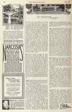 Better Homes & Gardens June 1925 Magazine Article: Along the Garden Path