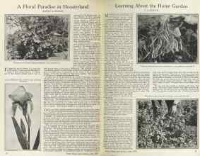 Better Homes & Gardens June 1925 Magazine Article: Page 10