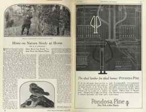 Better Homes & Gardens June 1925 Magazine Article: Page 22