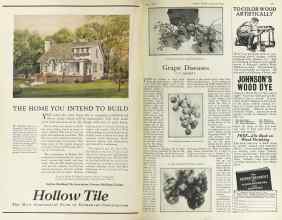 Better Homes & Gardens June 1925 Magazine Article: Page 28