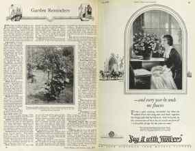 Better Homes & Gardens June 1925 Magazine Article: Page 30