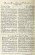 Better Homes & Gardens July 1925 Magazine Article: What About Dutch Bulbs This Year?