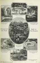 Better Homes & Gardens July 1925 Magazine Article: Glimpses of Lily Pools