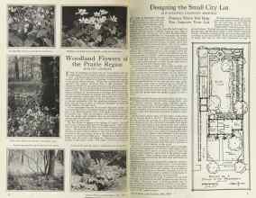 Better Homes & Gardens July 1925 Magazine Article: Page 8