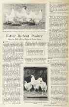 Better Homes & Gardens August 1925 Magazine Article: Better Backlot Poultry
