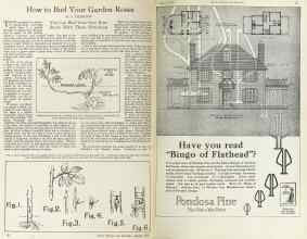Better Homes & Gardens August 1925 Magazine Article: Page 20