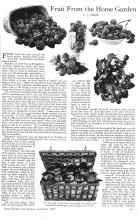 Better Homes & Gardens September 1925 Magazine Article: Fruit From the Home Garden