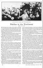 Better Homes & Gardens September 1925 Magazine Article: Dahlias in the Northwest