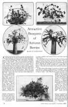 Better Homes & Gardens September 1925 Magazine Article: Attractive Bouquets of Autumn Berries