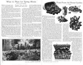 Better Homes & Gardens September 1925 Magazine Article: Page 8
