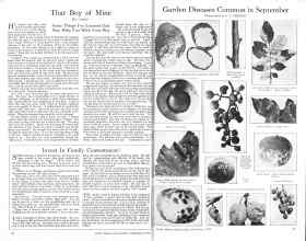 Better Homes & Gardens September 1925 Magazine Article: Page 16