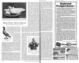 Better Homes & Gardens September 1925 Magazine Article: Some Facts About Pigeons