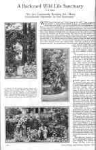 Better Homes & Gardens October 1925 Magazine Article: A Backyard Wild Life Sanctuary