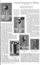 Better Homes & Gardens October 1925 Magazine Article: Forcing Hyacinths in Winter