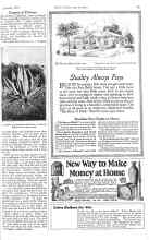 Better Homes & Gardens October 1925 Magazine Article: Carpets of Flowers