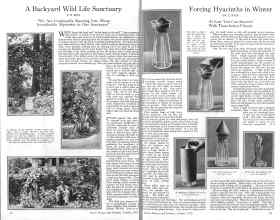 Better Homes & Gardens October 1925 Magazine Article: Page 14