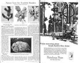 Better Homes & Gardens October 1925 Magazine Article: Page 28