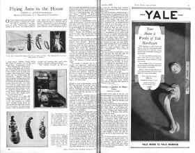 Better Homes & Gardens October 1925 Magazine Article: Flying Ants in the House