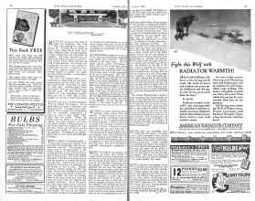Better Homes & Gardens October 1925 Magazine Article: Along the Garden Path
