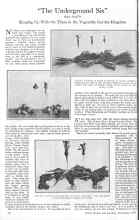 Better Homes & Gardens November 1925 Magazine Article: 