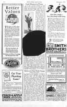 Better Homes & Gardens November 1925 Magazine Article: Fresh Rhubarb in Winter