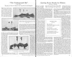 Better Homes & Gardens November 1925 Magazine Article: Page 10