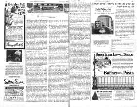 Better Homes & Gardens November 1925 Magazine Article: Along the Garden Path