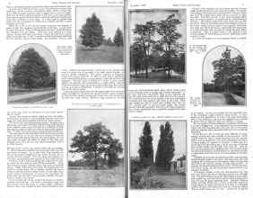 Better Homes & Gardens December 1925 Magazine Article: Page 6