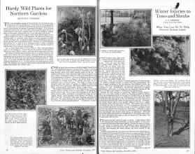 Better Homes & Gardens December 1925 Magazine Article: Page 14