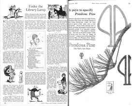 Better Homes & Gardens December 1925 Magazine Article: Page 22