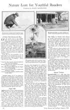 Better Homes & Gardens January 1926 Magazine Article: Nature Lore for Youthful Readers