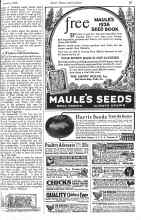 Better Homes & Gardens January 1926 Magazine Article: A Window-Sill Greenhouse