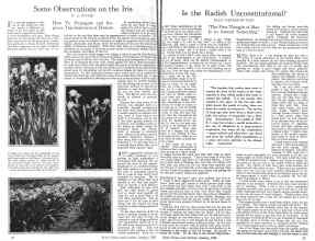 Better Homes & Gardens January 1926 Magazine Article: Page 16