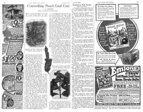 Better Homes & Gardens January 1926 Magazine Article: Page 46