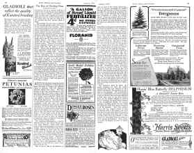 Better Homes & Gardens January 1926 Magazine Article: Page 50