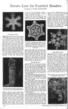 Better Homes & Gardens February 1926 Magazine Article: Nature Lore for Youthful Readers