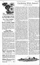 Better Homes & Gardens February 1926 Magazine Article: Gardening With Annuals