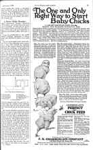 Better Homes & Gardens February 1926 Magazine Article: A Home Made Brooder