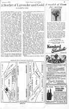 Better Homes & Gardens February 1926 Magazine Article: A Border of Lavender and Gold