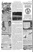 Better Homes & Gardens February 1926 Magazine Article: Concerning Tiger Lilies