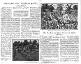 Better Homes & Gardens February 1926 Magazine Article: Page 16